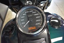 2021 Harley-davidson FLHRXS ROAD KING SPECIAL SNAKE VENOM