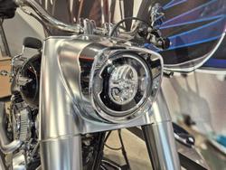 2019 Harley-Davidson Fat Boy 114 (FLFBS) Softail Black