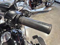 2019 Harley-Davidson Fat Boy 114 (FLFBS) Softail Black