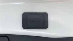 2024 Toyota RAV4 Cruiser