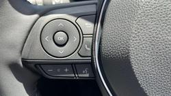 2024 Toyota RAV4 Cruiser