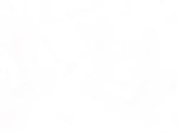 2019 Honda CBR650R Red