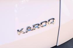 2019 SKODA Karoq 110TSI