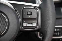 2025 GWM Cannon Premium