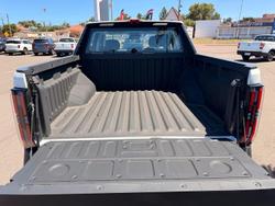 2025 LDV Terron 9 Origin