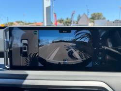 2025 LDV Terron 9 Origin