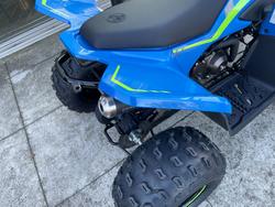 2025 CFMOTO C FORCE 110 SE BLUE