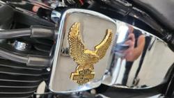 1992 Harley-Davidson Fat Boy 80 (FLSTF) Softail Black