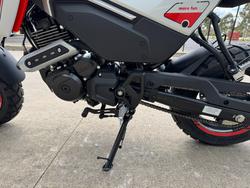 2025 CFMOTO XO PAPIO TRAIL NEBULA WHITE