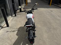 2025 CFMOTO XO PAPIO TRAIL NEBULA WHITE