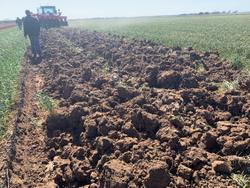 0 Tatu Aarp 10 Blade Reversible Moldboard Plough New RED