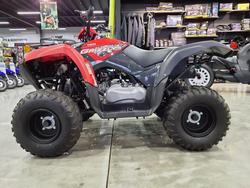 2025 Yamaha Grizzly 110 (YFM110G) Grizzly Grey
