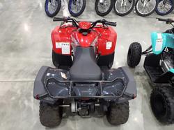 2025 Yamaha Grizzly 110 (YFM110G) Grizzly Grey