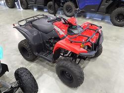 2025 Yamaha Grizzly 110 (YFM110G) Grizzly Grey