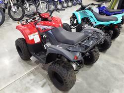 2025 Yamaha Grizzly 110 (YFM110G) Grizzly Grey