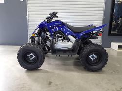 2025 Yamaha Raptor 110 (YFM110R) Raptor Blue