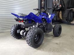 2025 Yamaha Raptor 110 (YFM110R) Raptor Blue