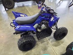 2025 Yamaha Raptor 110 (YFM110R) Raptor Blue