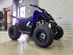 2025 Yamaha Raptor 110 (YFM110R) Raptor Blue