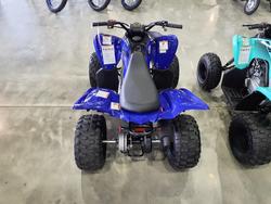 2025 Yamaha Raptor 110 (YFM110R) Raptor Blue