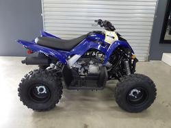 2025 Yamaha Raptor 110 (YFM110R) Raptor Blue