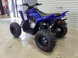 2025 Yamaha Raptor 110 (YFM110R) Raptor Blue