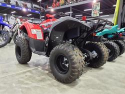 2025 Yamaha Grizzly 110 (YFM110G) Grizzly Grey
