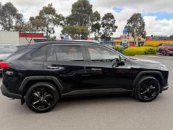 2020 Toyota RAV4 Cruiser