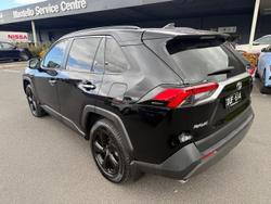 2020 Toyota RAV4 Cruiser