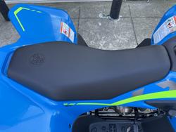 2025 CFMOTO C FORCE 110 SE BLUE