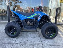 CFMOTO C Force 110 SE