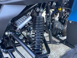 2025 CFMOTO C FORCE 110 SE BLUE