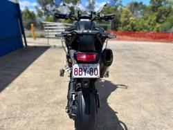 2024 TRIUMPH TIGER 1200 RALLY EXPLORER Green