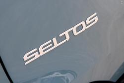 2025 Kia Seltos Sport+