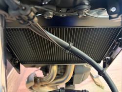 2024 Yamaha XSR700 BLUE