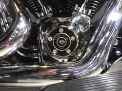 2015 Harley-Davidson Softail Deluxe 1690 (FLSTN) Softail