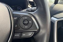 2021 Toyota RAV4 Cruiser