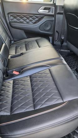 2022 GWM Ute Cannon-X