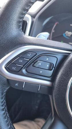 2022 GWM Ute Cannon-X