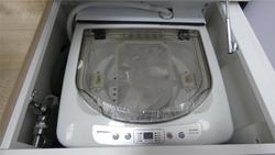 2025 Viscount Wildshark Ws1