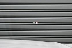 2018 Volvo XC60 D4 Inscription MY19 AWD Crystal White