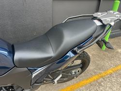 2025 Kawasaki VERSYS-X 300 BLUE