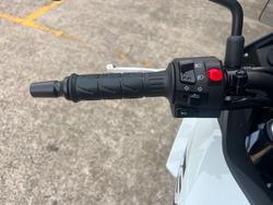 2025 Kawasaki VERSYS-X 300 BLUE