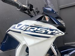 2025 Kawasaki VERSYS-X 300 BLUE