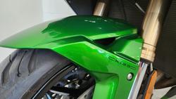 2018 Kawasaki Ninja H2 SX SE (ZX10002B) Ninja H2 Green