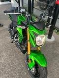 2019 Kawasaki Z125 PRO KRT REPLICA GREEN