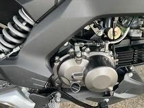 2019 Kawasaki Z125 PRO KRT REPLICA GREEN