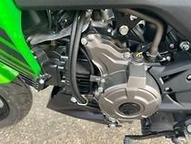2019 Kawasaki Z125 PRO KRT REPLICA GREEN