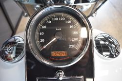 2017 Harley-davidson FLSTN SOFTAIL DELUXE crushed ice/ teal