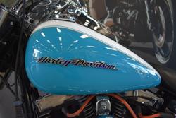 2017 Harley-davidson FLSTN SOFTAIL DELUXE crushed ice/ teal